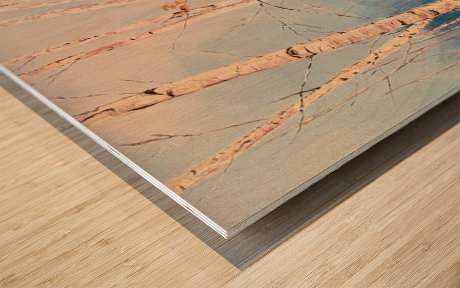 The Birches Wood print